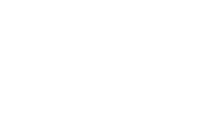 fs1-logo-1.webp