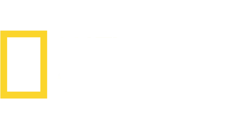 nat-geo-logo-1.webp